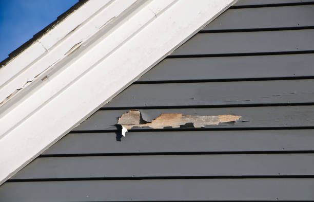 Best Custom Siding Design  in Occoquan, VA